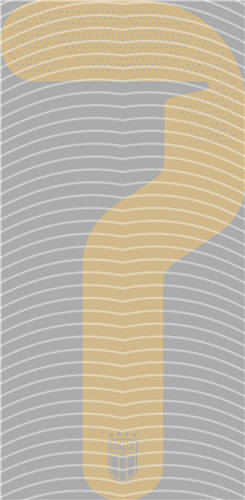 NBA and Team-QD 2184